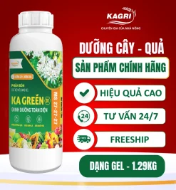 KA GREEN 01 1 LÍT