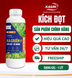 KA GREEN 02 1 LÍT