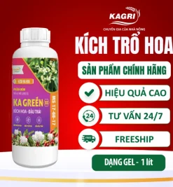 KA GREEN 03 1 LÍT