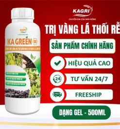 KA GREEN 08 500ML