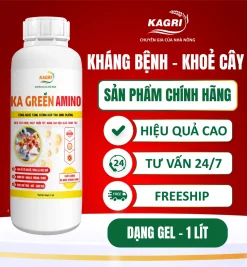 KA GREEN AMINO 1 Lít