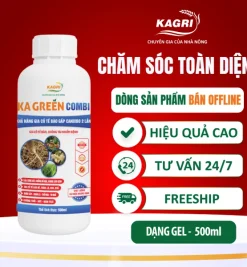 KA GREEN COMBI LINE